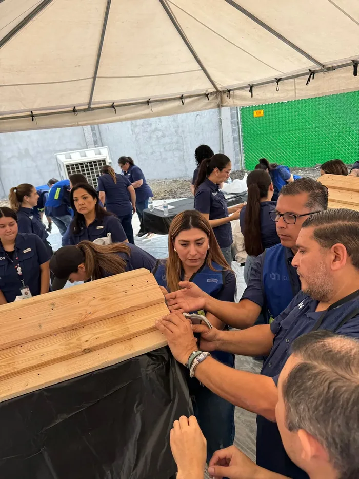 Colaboradores en plena dinámica de Barkitecture