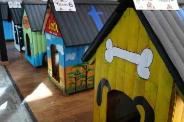 Momento 1 de Barkitecture