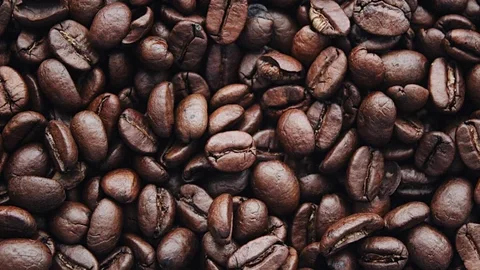 Cata de Café