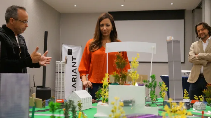 City build, team building de Catalyst en México