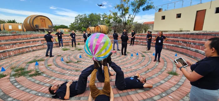 Momento 8 de Drone Control