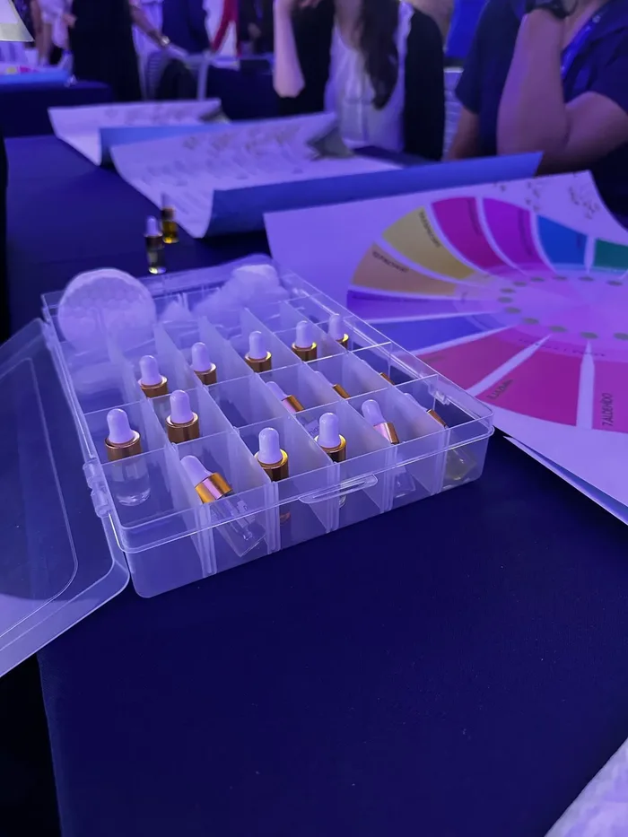 Equipo corporativo durante Essence of excellence, actividad de integración