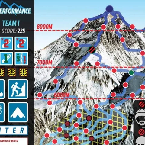 Peak Performance - Online