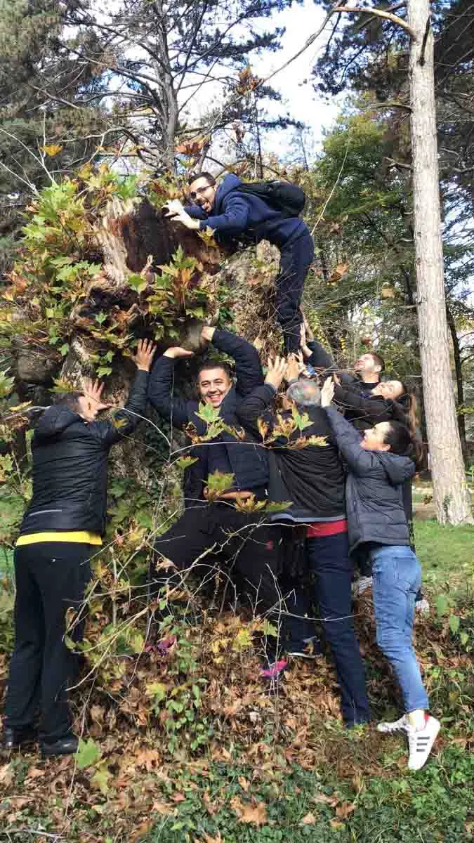 Team Wellbeing: team building para empresas en México