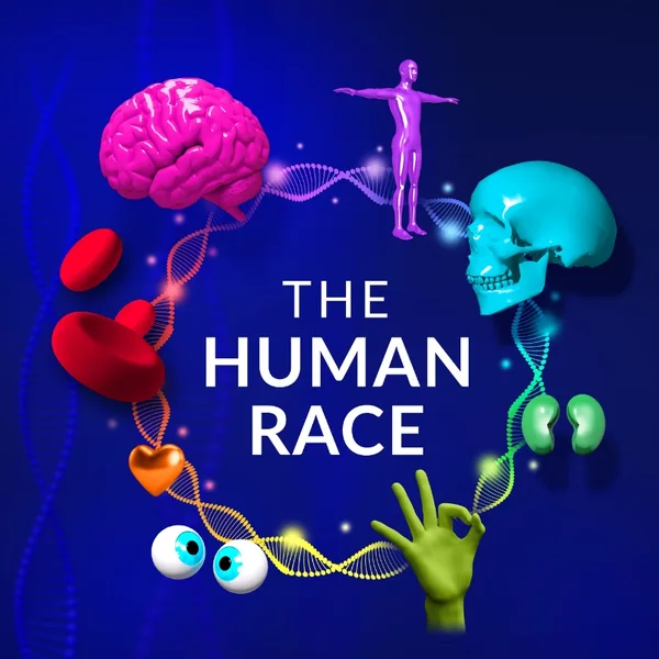 Momento 1 de The Human Race - Online