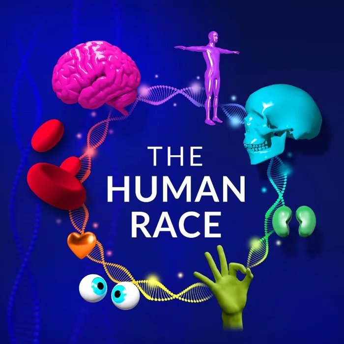 Momento 2 de The Human Race - Online