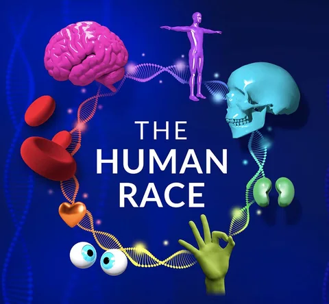 The Human Race - Online