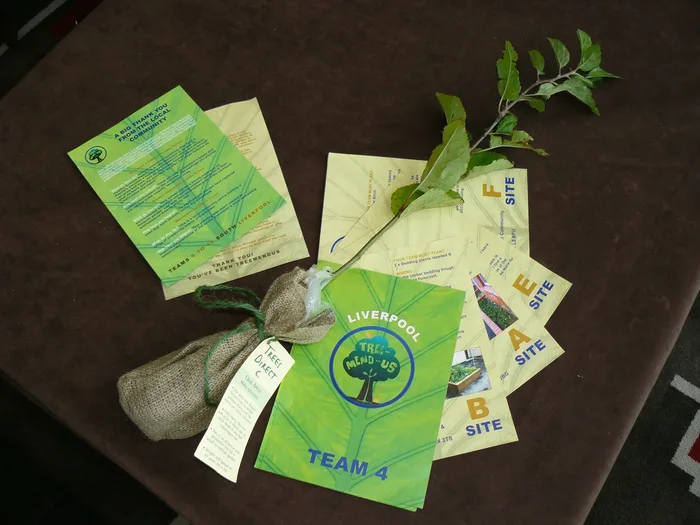 Equipo corporativo durante Tree-Mend-Us, actividad de integración