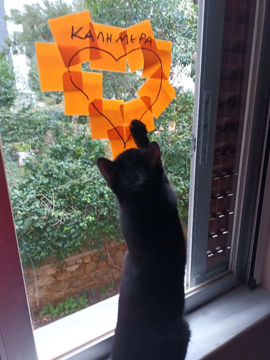 Colaboradores en plena dinámica de World Outside Your Window