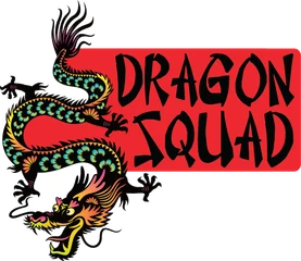 Logo oficial de Dragon Squad